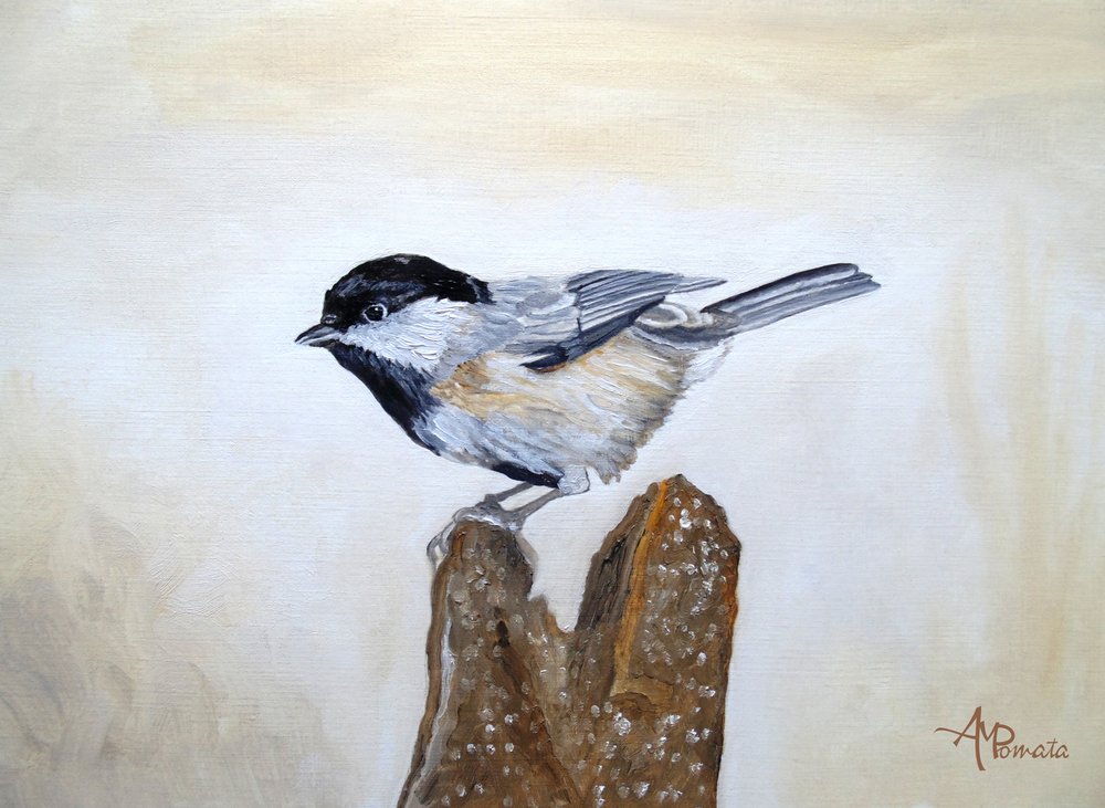 Pássaro da espécie Chickadee num tronco de árvore de Angeles M. Pomata