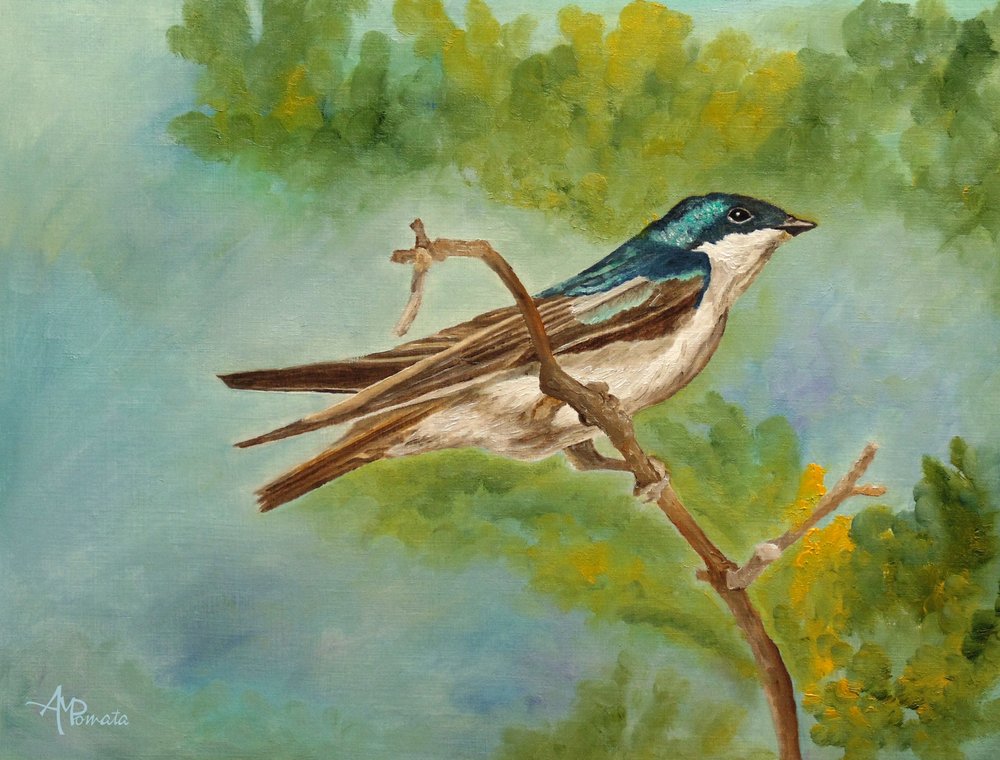  de Angeles M. Pomata