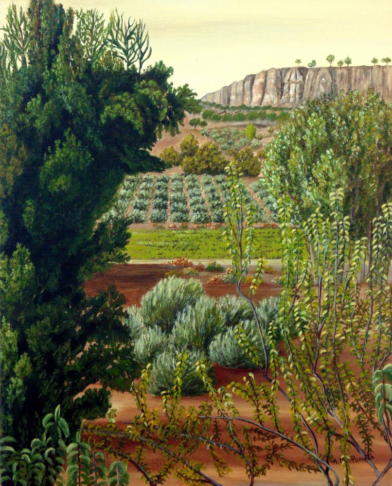  de Angeles M. Pomata
