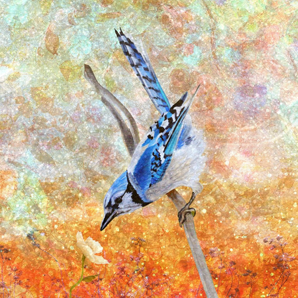  de Angeles M. Pomata