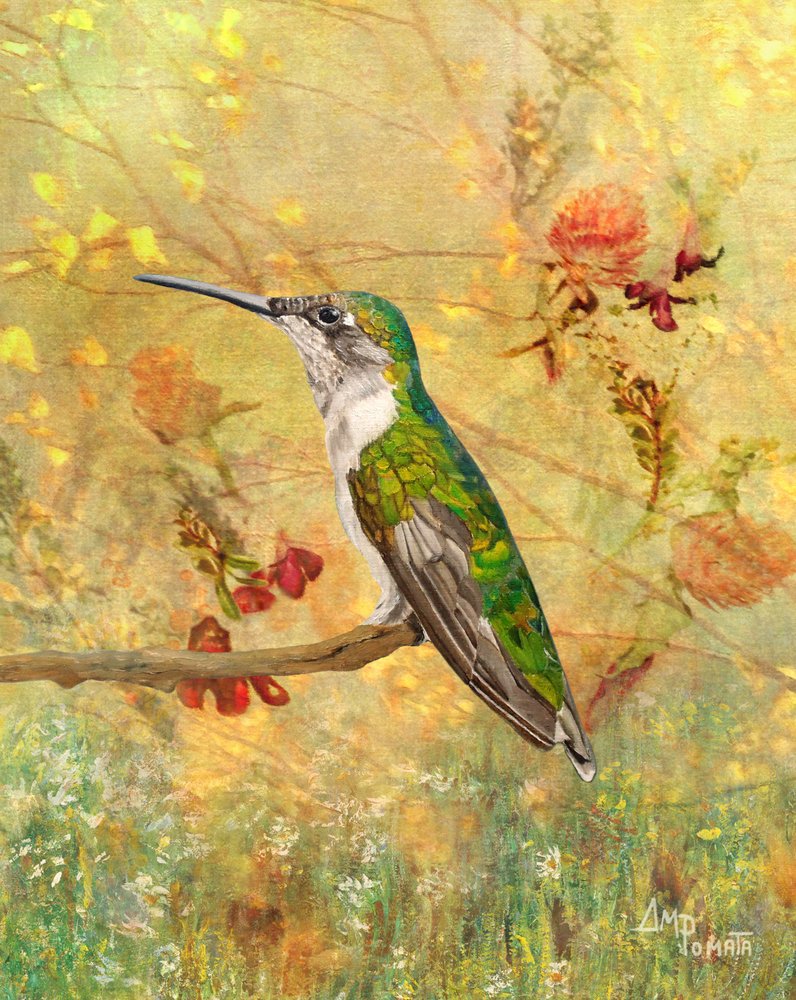  de Angeles M. Pomata
