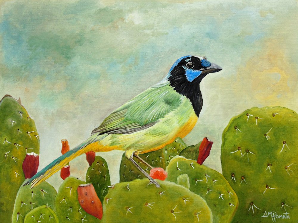 Gai-verde num cacto de Angeles M. Pomata