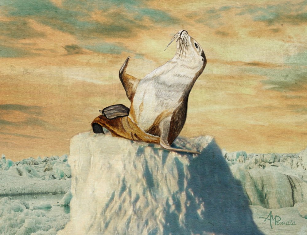 de Angeles M. Pomata