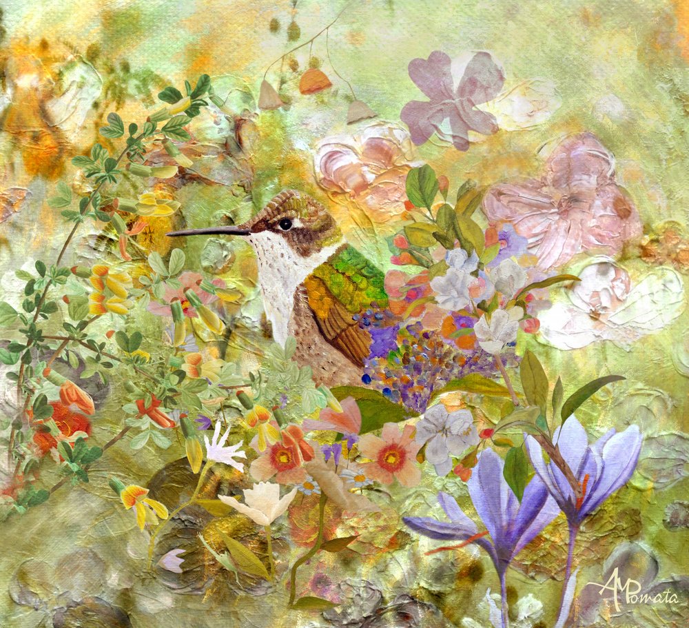 de Angeles M. Pomata