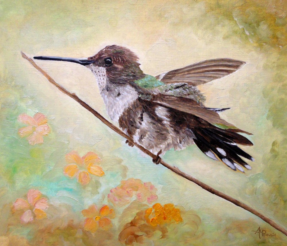  de Angeles M. Pomata