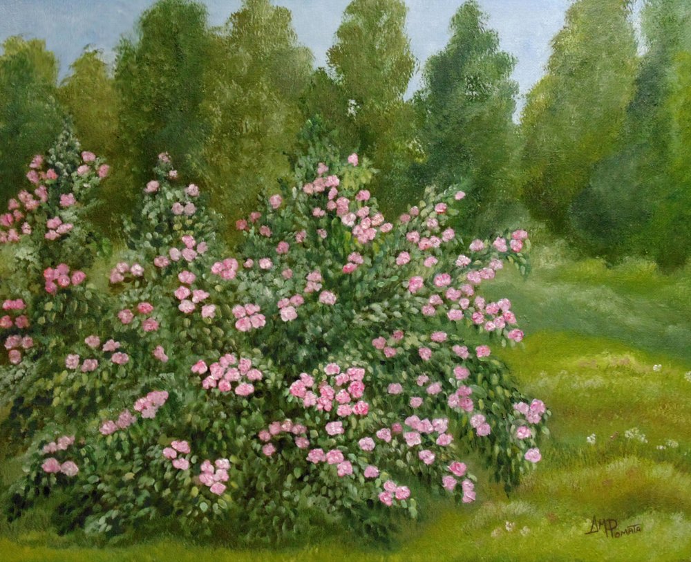 Jardim de Rosas Tranquilo de Angeles M. Pomata