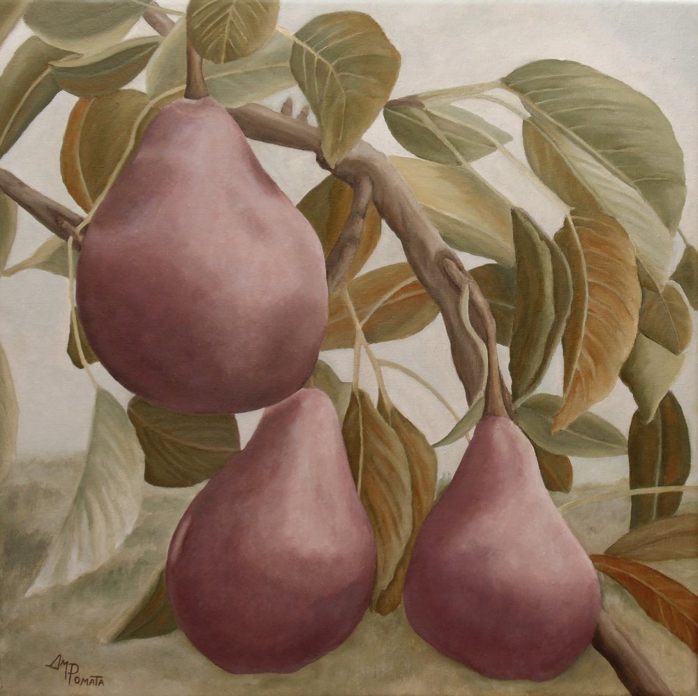  de Angeles M. Pomata