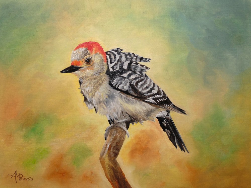  de Angeles M. Pomata