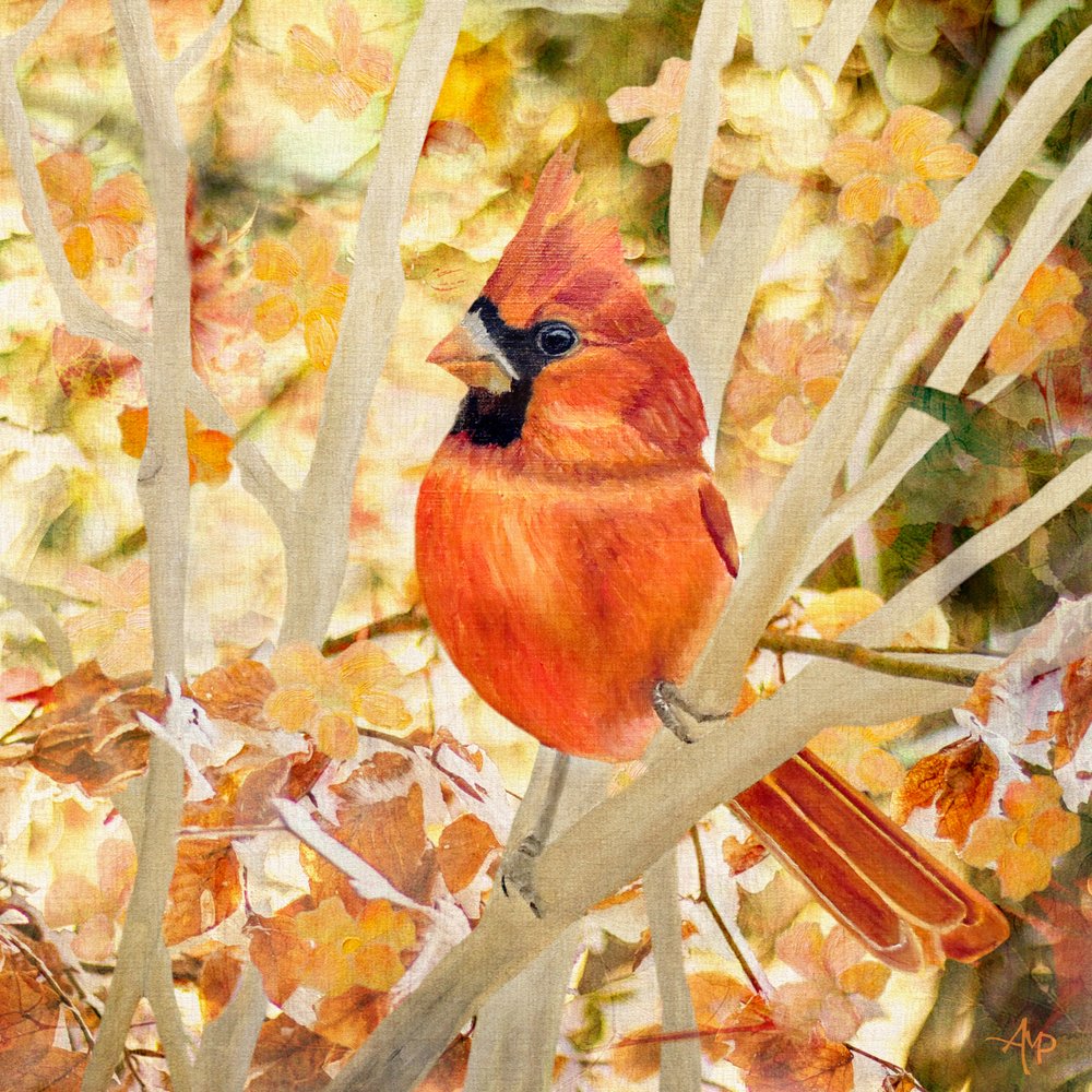  de Angeles M. Pomata