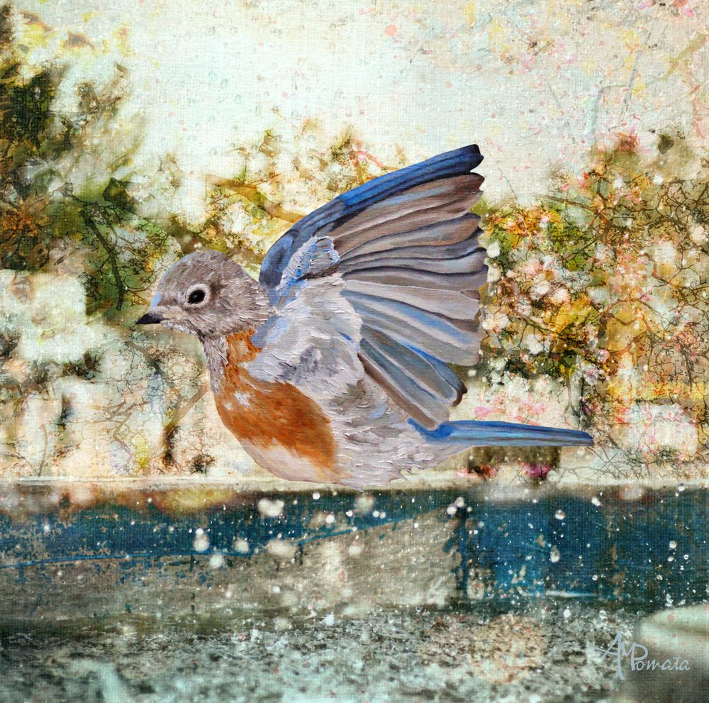  de Angeles M. Pomata