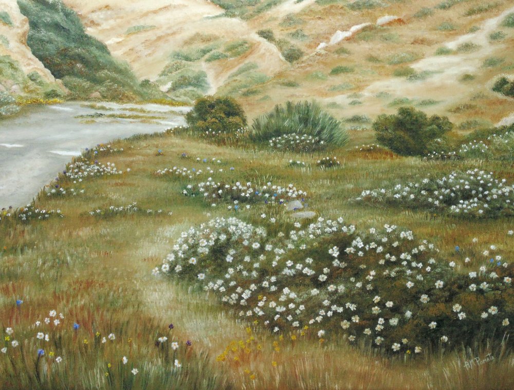  de Angeles M. Pomata