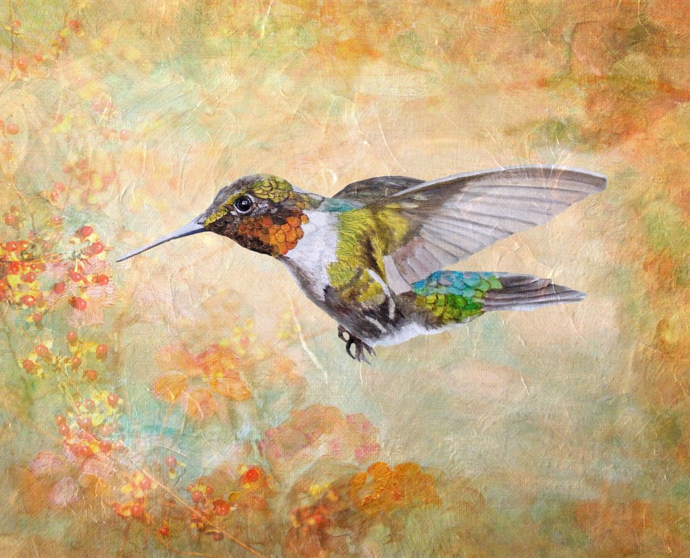  de Angeles M. Pomata