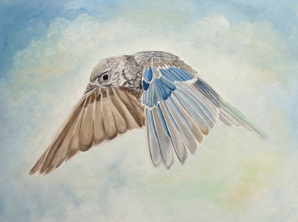  de Angeles M. Pomata