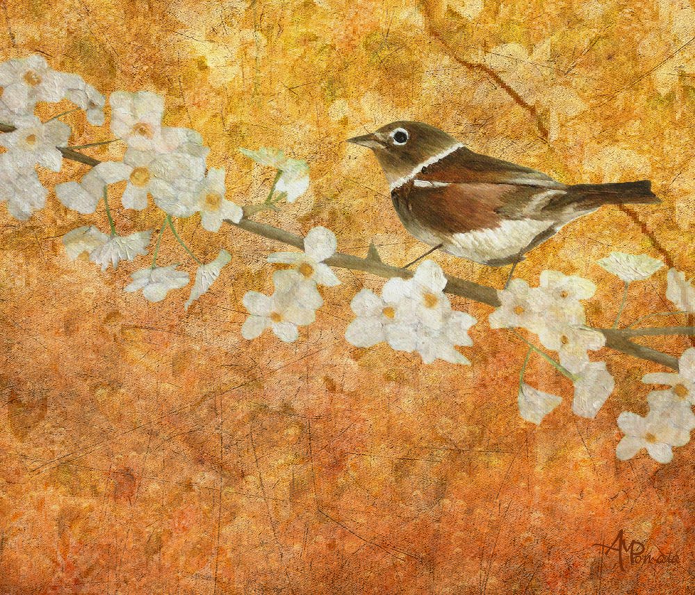  de Angeles M. Pomata