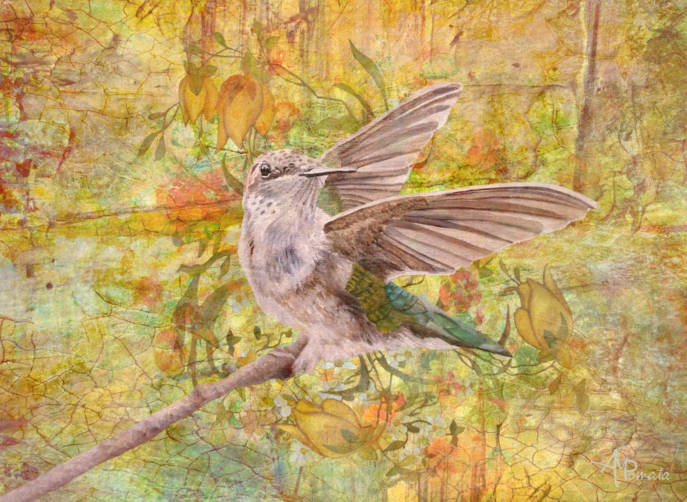  de Angeles M. Pomata