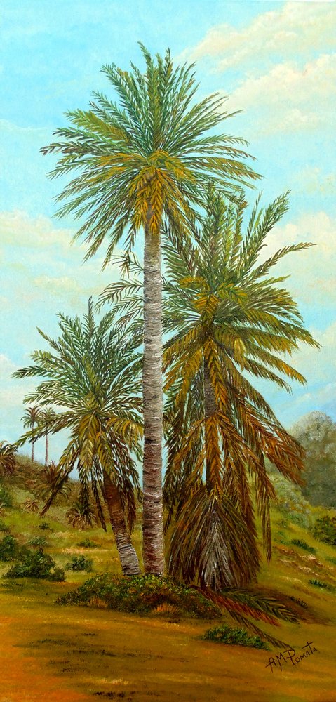  de Angeles M. Pomata