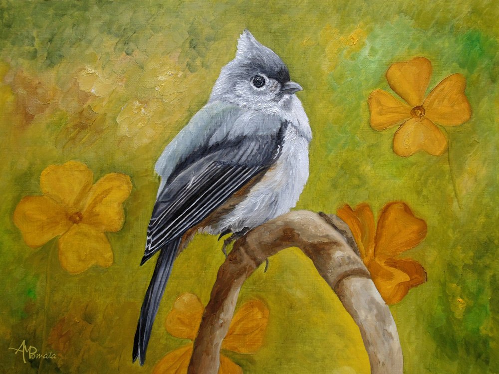  de Angeles M. Pomata