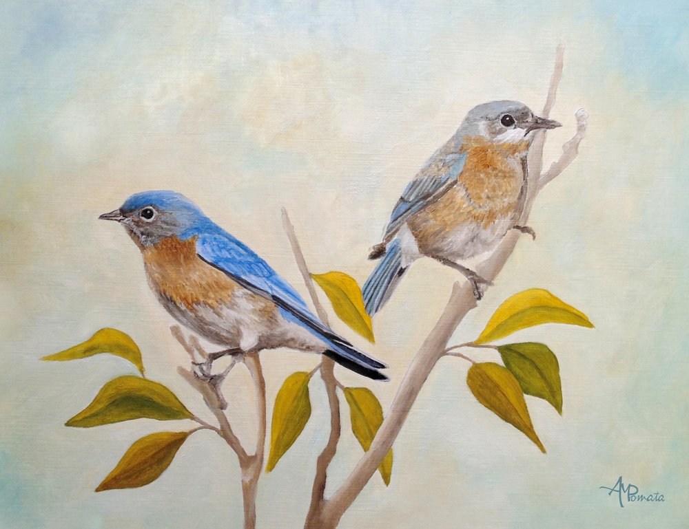 de Angeles M. Pomata
