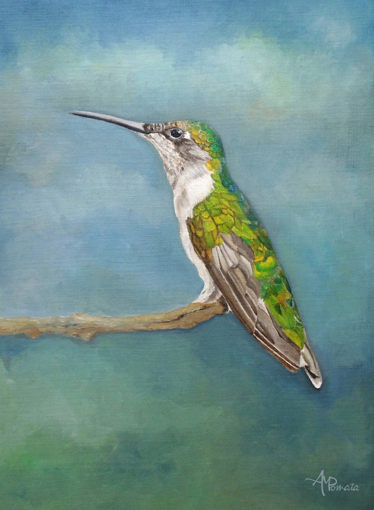  de Angeles M. Pomata
