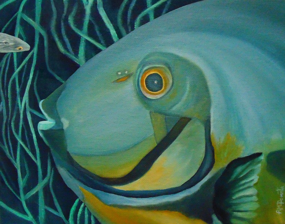  de Angeles M. Pomata