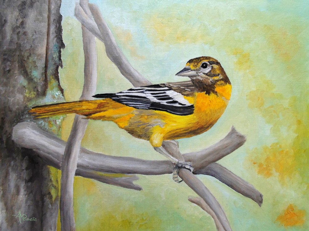  de Angeles M. Pomata