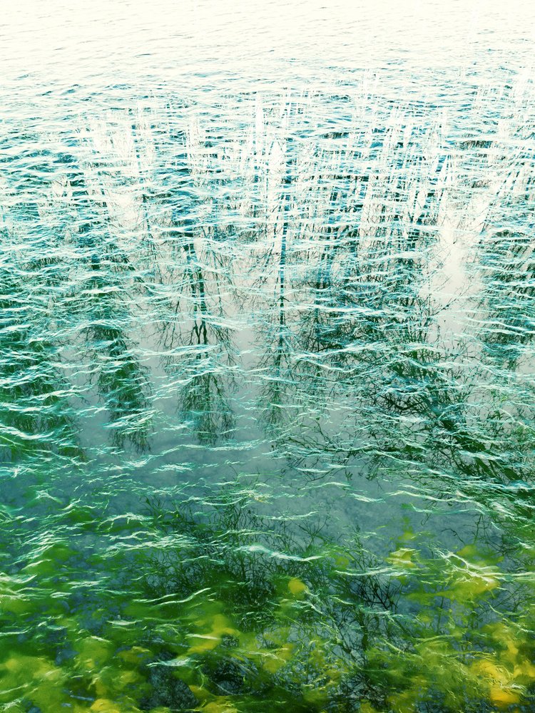 Reflexões abstratas na água de Angelo Cerantola