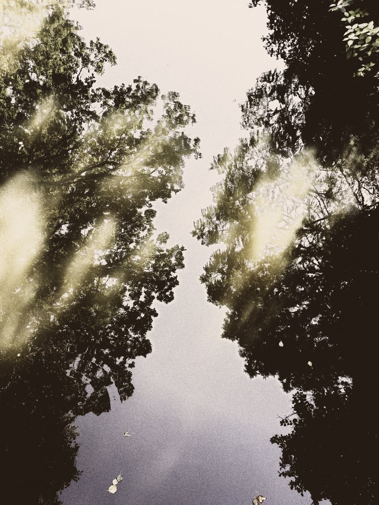 O Céu Espelhado da Natureza de Angelo Cerantola