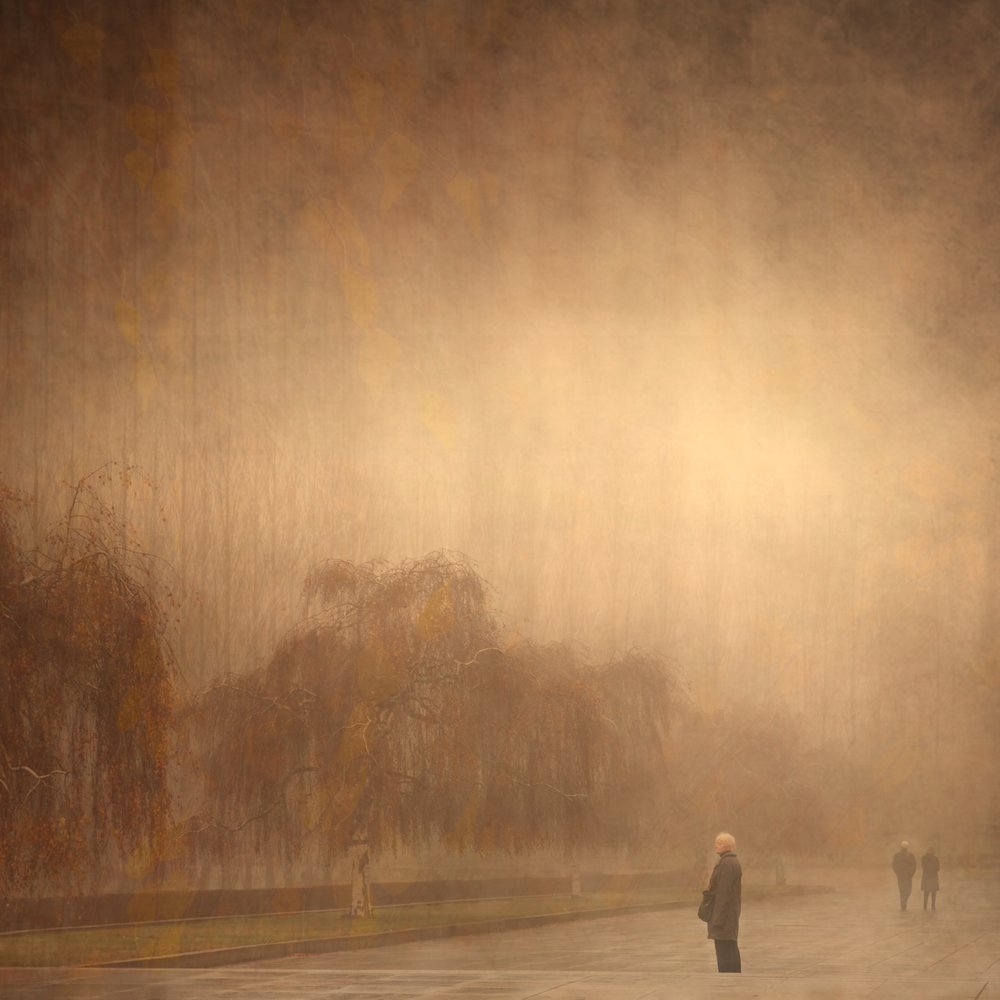 Um passeio de outono de sonho de Anja Buehrer