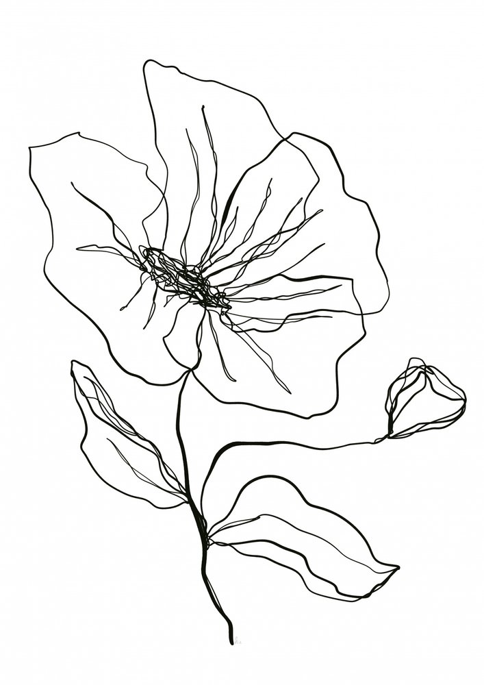Esboço de uma flor delicada de Ankie Kooi