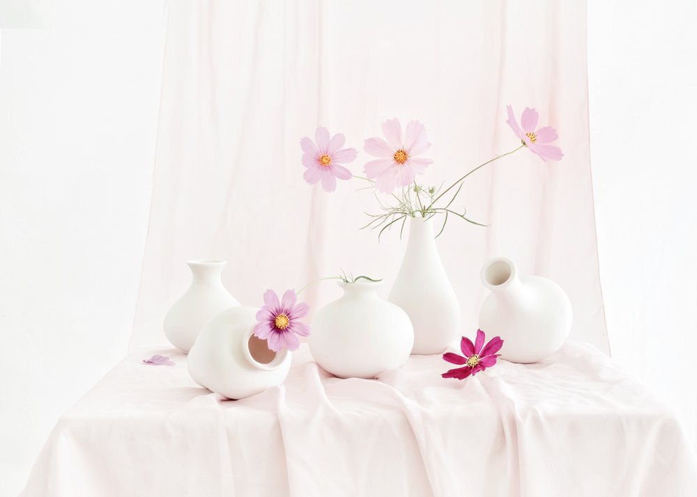 Natureza morta com cosmos cor-de-rosa de Anna Qu