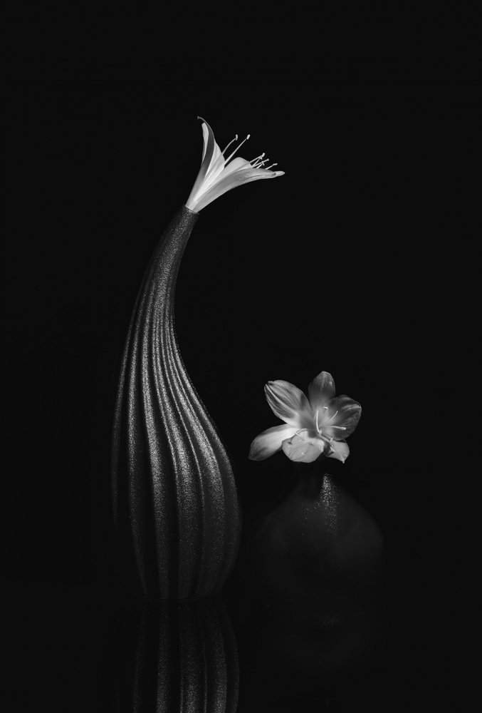 Natureza morta floral elegante de Anna Qu