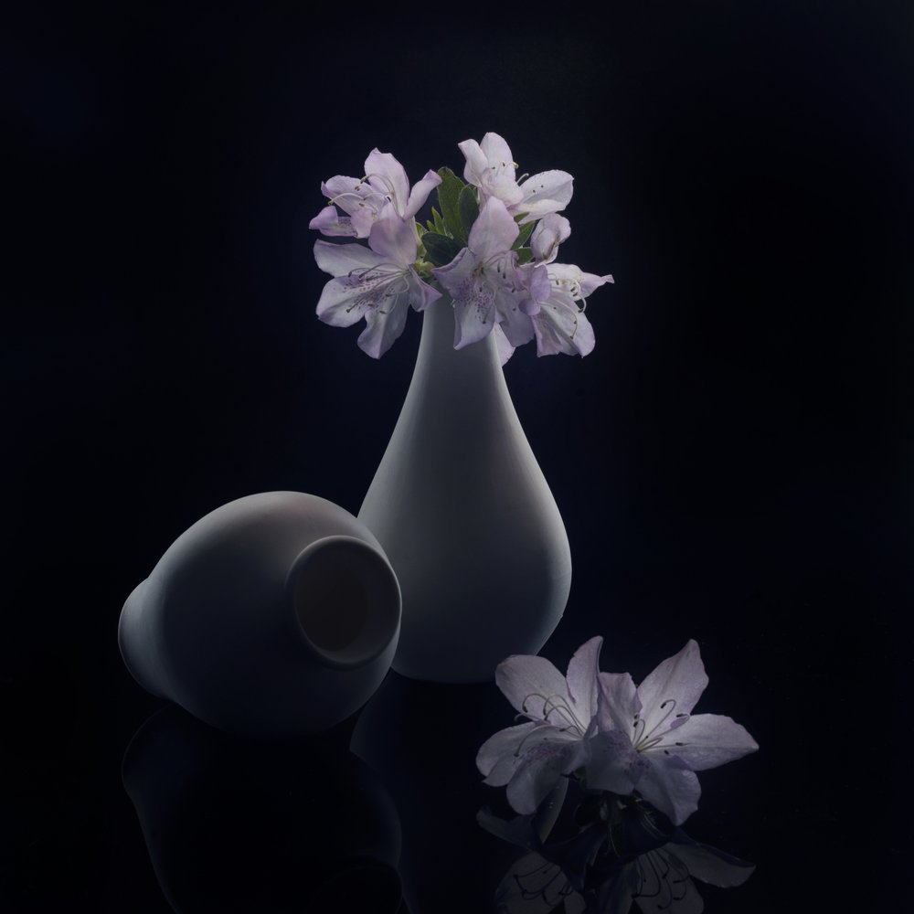 Flores e Vasos Moody de Anna Qu