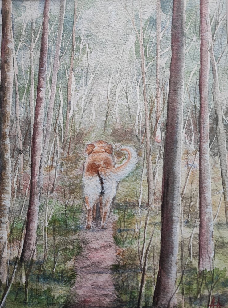 Passeio na floresta com o cão de Annette Armitage