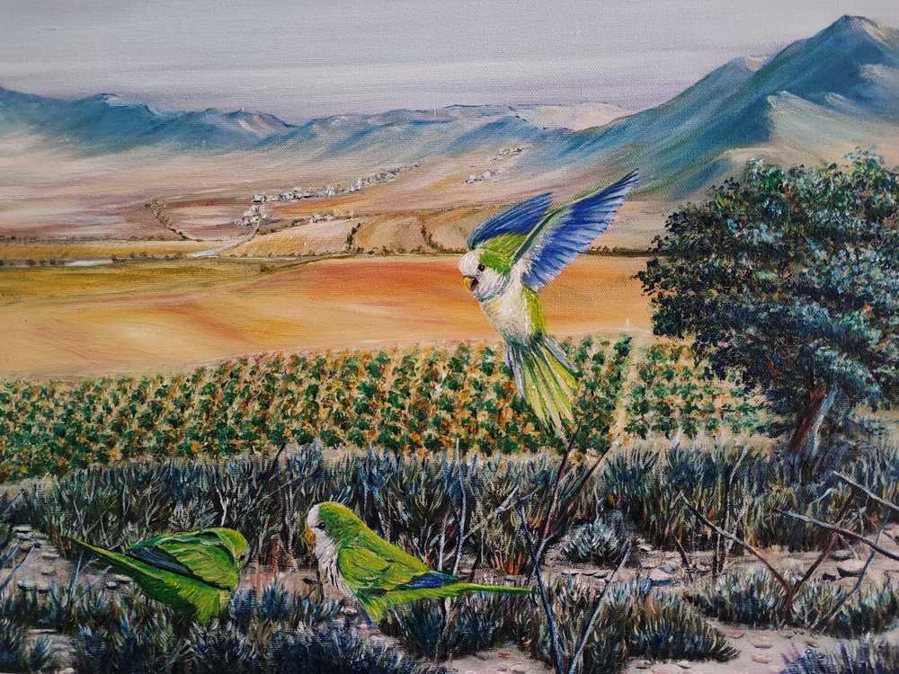 Papagaios verdes a voar de Annette Armitage