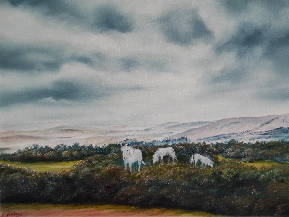 Póneis de Serene Moorland de Annette Armitage