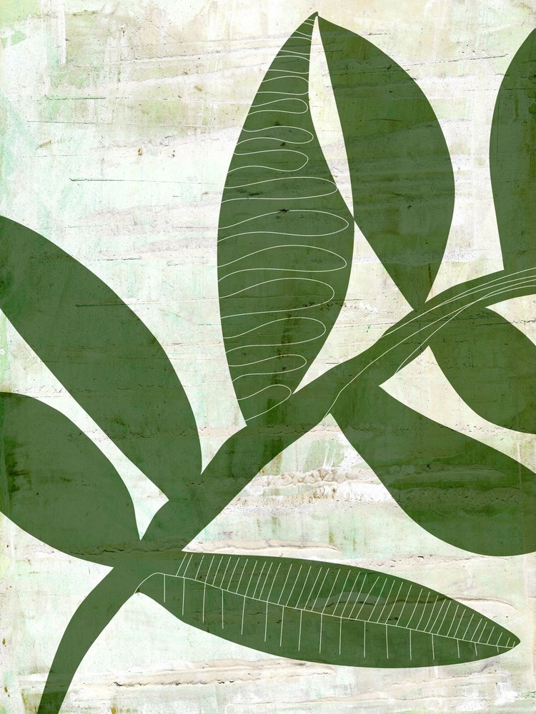 Folhas verdes abstratas de Annick