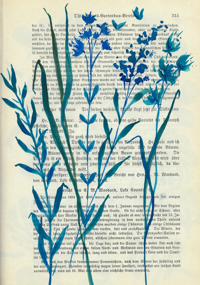 Flores Azuis - Texto Antigo de Annick