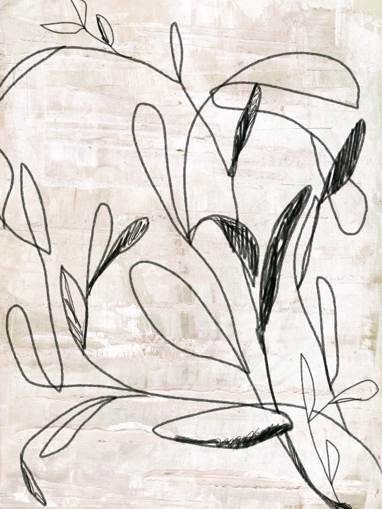 Desenho botânico a linha de Annick