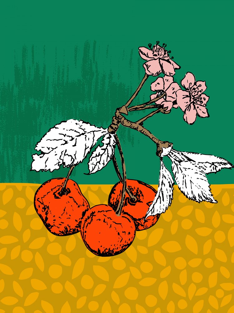 Flores de cerejeira de Annick