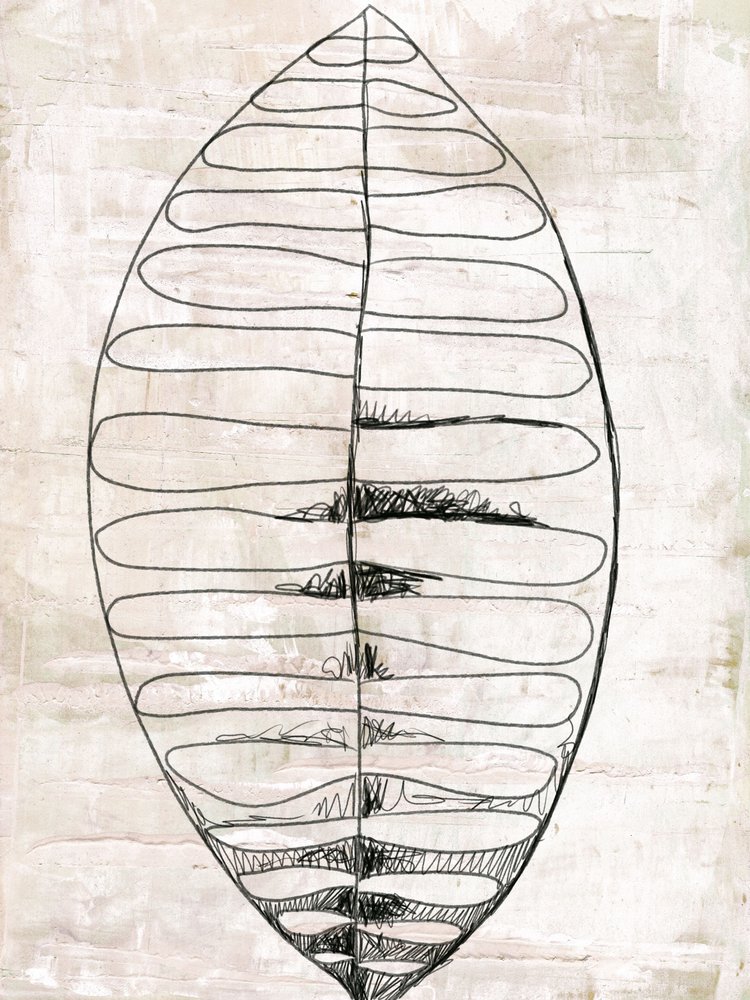 Desenhos de folhas orgânicas de Annick