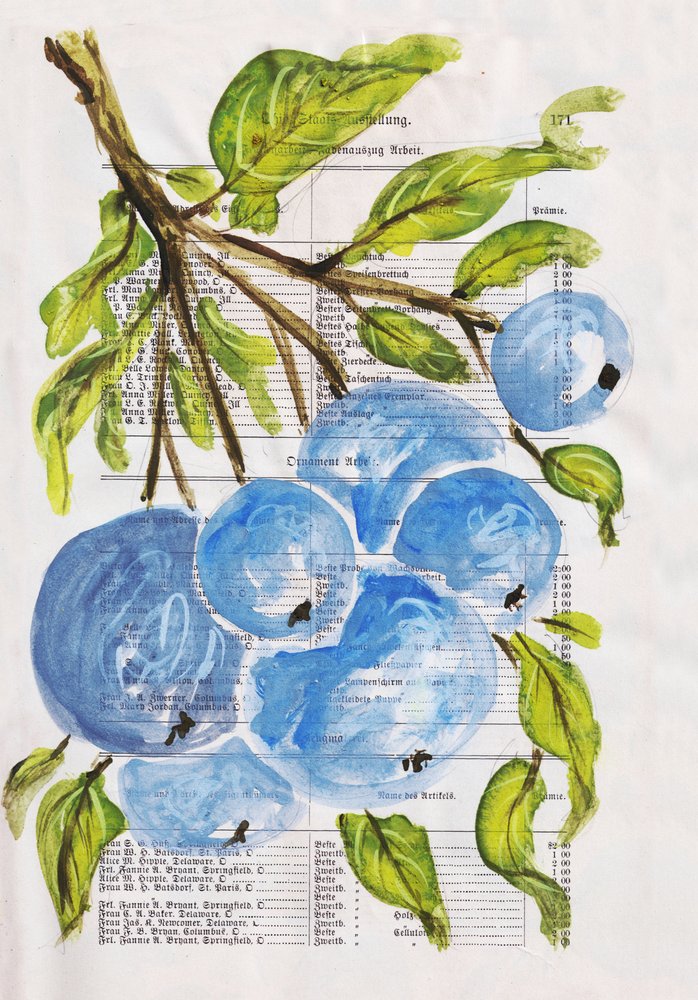 Mirtilos pintados em papel de Annick