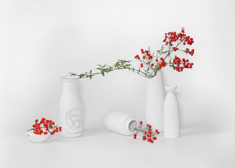 Expositor minimalista de frutos vermelhos de Annie Poreider