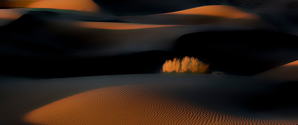  de Asef Azimaie