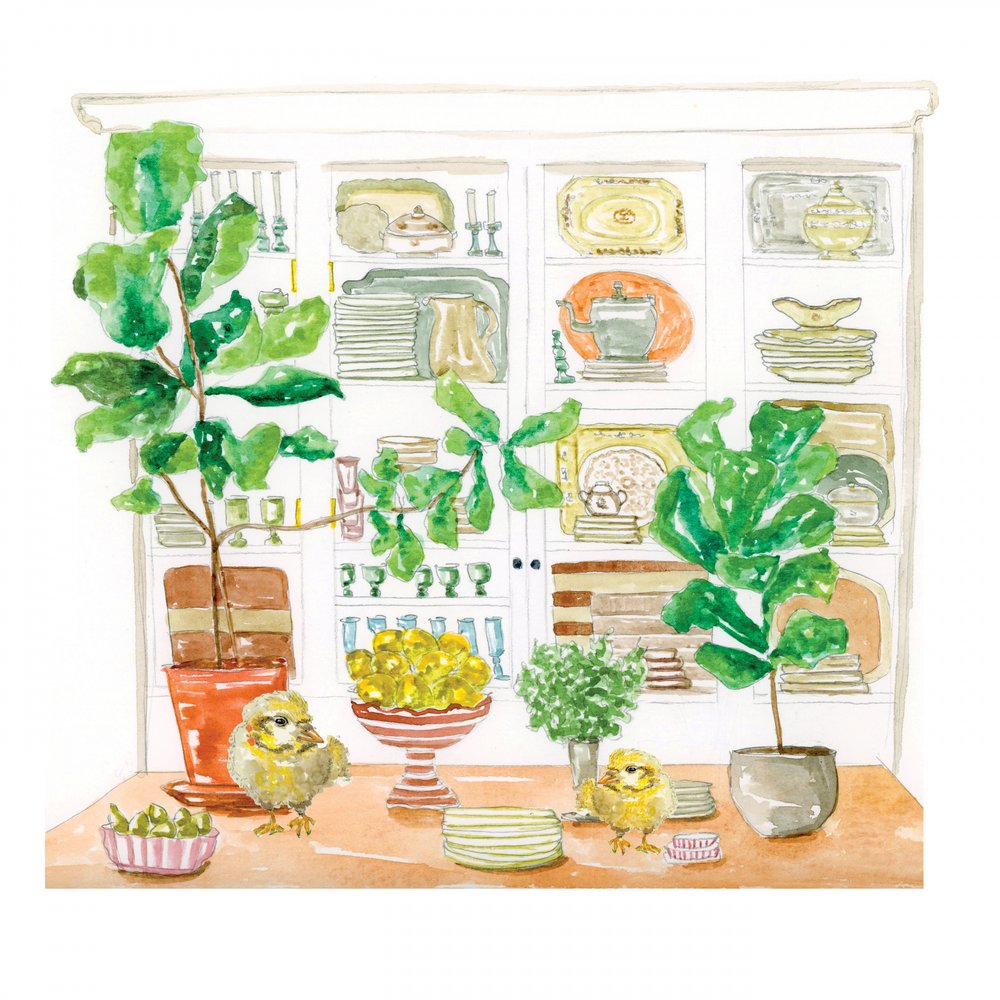 Pintinhas da Cozinha Acolhedora de Breanna Megan Studio