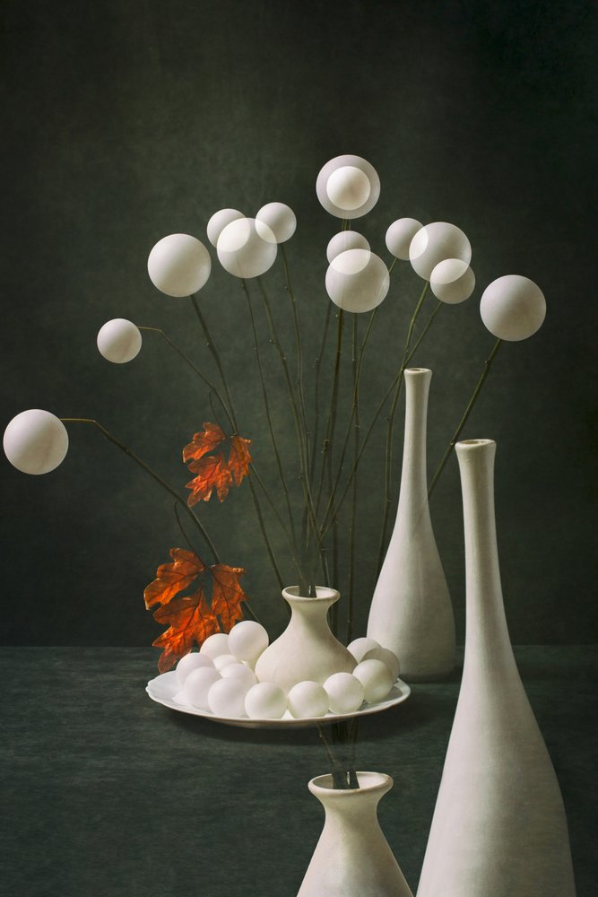 Elegância floral abstrata de Brig Barkow