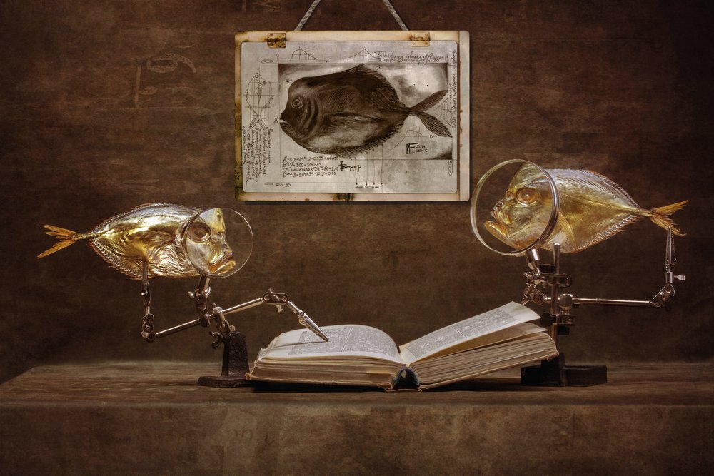 Curiosos peixes eruditos de Brig Barkow