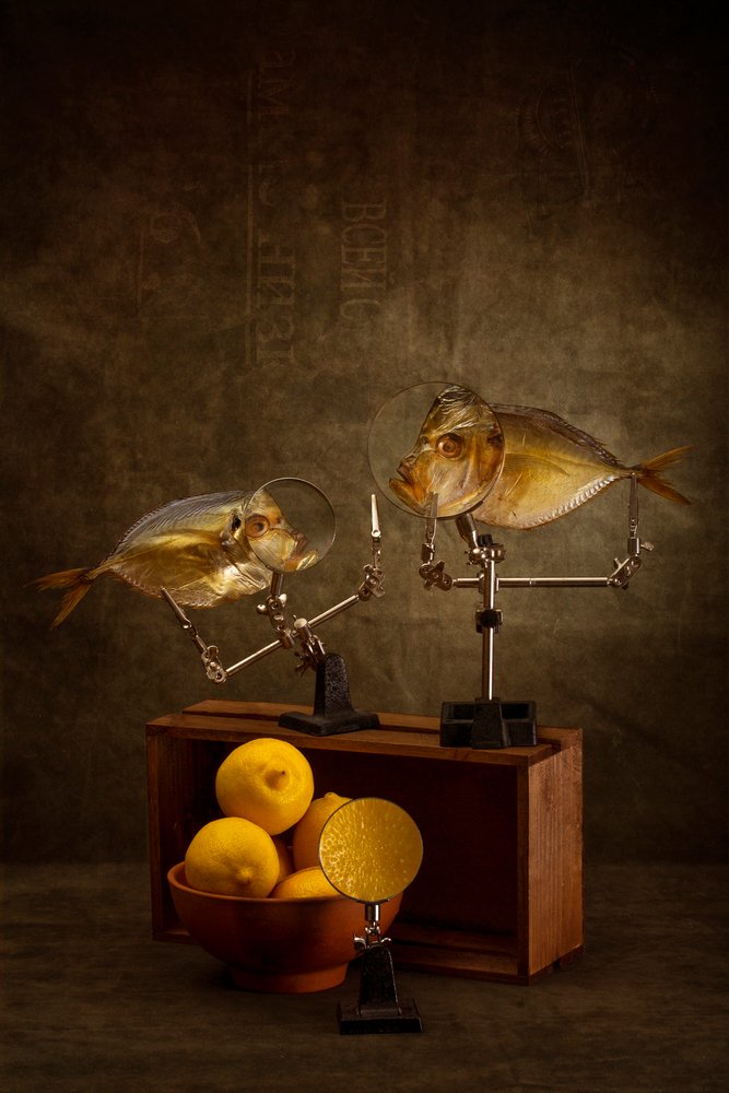 Curioso estudo de peixe de Brig Barkow
