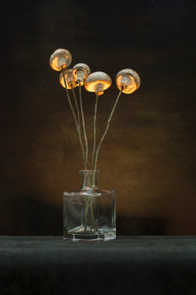 Vaso em forma de cogumelo iluminado de Brig Barkow