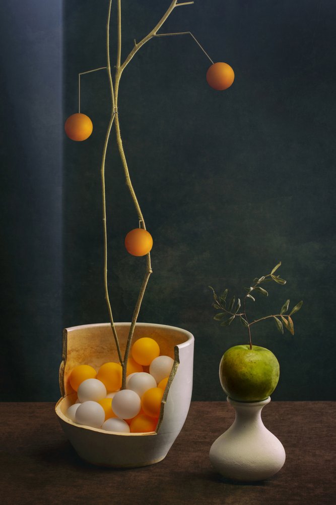Arranjo moderno de frutas de Brig Barkow