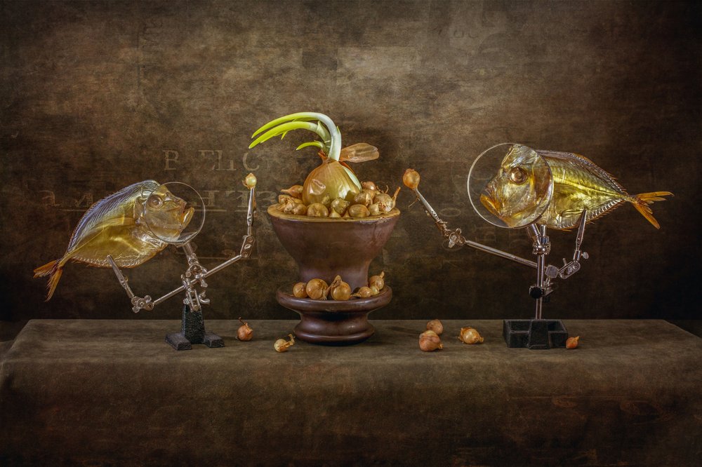 Peixes e cebolas extravagantes de Brig Barkow
